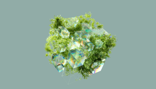 Le nostre iniziative: