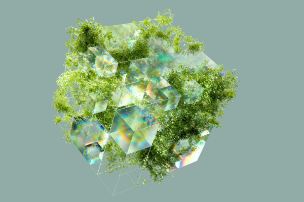 Guida al Net Zero per le aziende