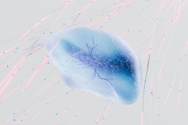 Microlearning: formazione aziendale coinvolgente e accessibile a tutti