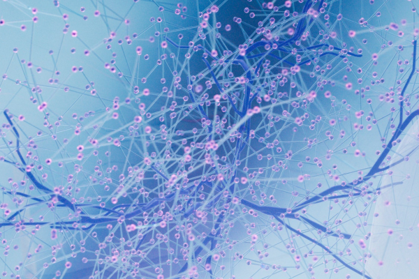 LumApps: la migliore alternativa a Meta Workplace