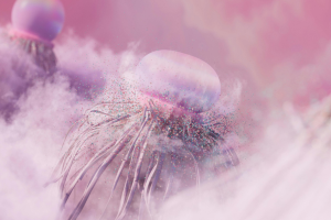 Webinar Huware per monday