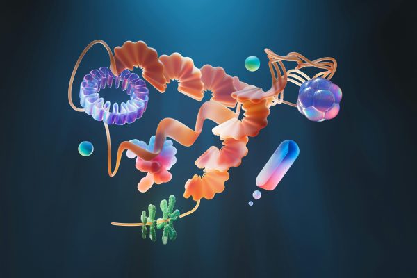 AI Readiness: un framework strategico per l’eccellenza operativa nell’era dell’AI