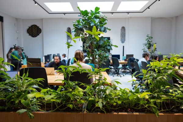 Smart working & headquarter 